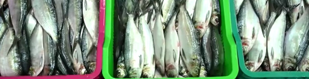 Banner da Página Produtos e Serviços