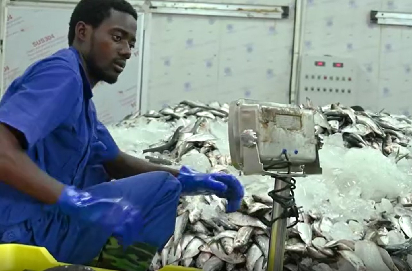 Pescadores e cooperativas parceiras da MARN